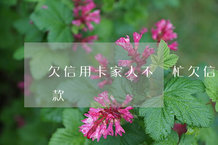欠信用卡家人不幫忙 欠信用卡家人不幫忙還款
