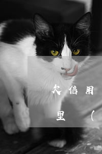 欠信用卡家里會(huì)管嗎(欠信用卡家里會(huì)管嗎知乎)