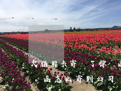欠信用卡寄來了律師函怎么辦（信用卡逾期律師函怎么寄到公司來）