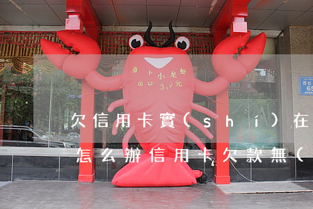 欠信用卡實(shí)在無(wú)力償還怎么辦(信用卡欠款無(wú)力償還)