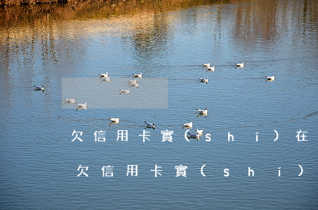 欠信用卡實(shí)在無力償還怎么辦-欠信用卡實(shí)在無力償還怎么辦呢