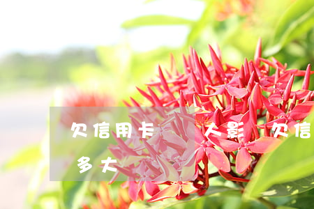 欠信用卡對個人影響 欠信用卡對個人影響有多大