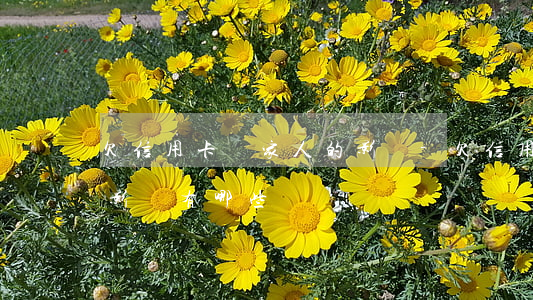 欠信用卡對家人的影響-欠信用卡對家人的影響有哪些