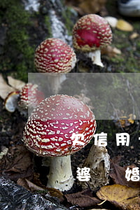 欠信用卡導(dǎo)致離婚（欠信用卡的老婆離婚）