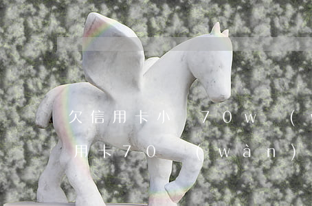 欠信用卡小貸70w無(wú)力償還(欠信用卡70萬(wàn))