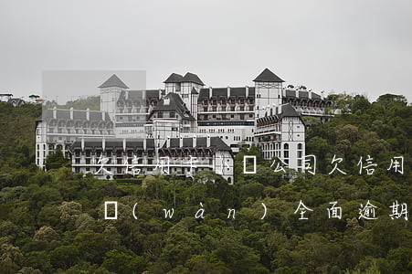欠信用卡小貸公司(欠信用卡小貸公司30多萬(wàn)全面逾期了還不起了怎么辦)