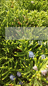 欠信用卡小貸房子賣了轉移財產(欠款人把房子賣了算是財產轉移么)