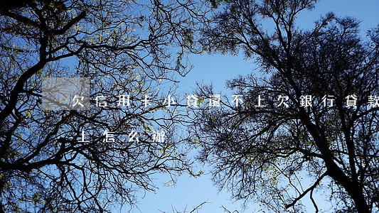 欠信用卡小貸還不上(欠銀行貸款信用卡還不上怎么辦)