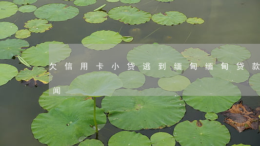 欠信用卡小贷逃到缅甸(缅甸贷款诈骗最新新闻)