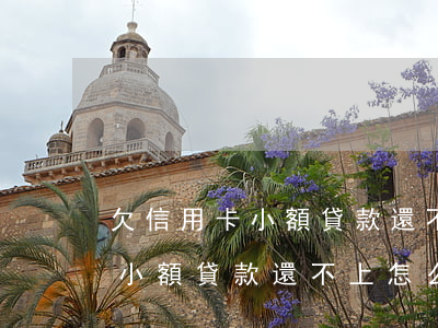 欠信用卡小額貸款還不上怎么辦-欠信用卡小額貸款還不上怎么辦呢