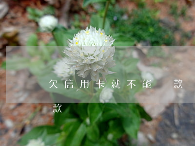 欠信用卡就不能貸款嗎-欠信用卡就不能貸款嗎