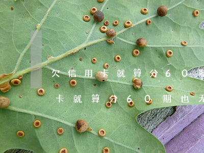欠信用卡就算分60期也无法偿还-欠信用卡就算分60期也无法偿还怎么办