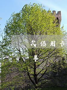 欠信用卡屬于民事糾紛嗎-欠信用卡屬于民事糾紛嗎