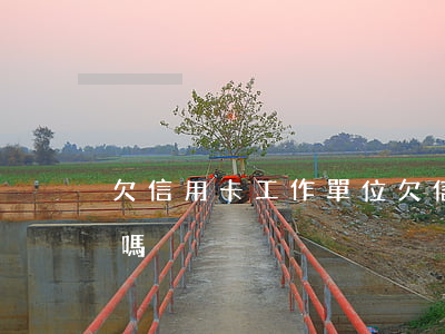 欠信用卡 工作單位(欠信用卡 工作單位有影響嗎)