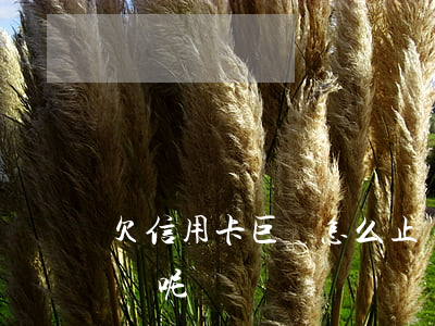 欠信用卡巨額怎么止損(欠信用卡巨額怎么止損呢)