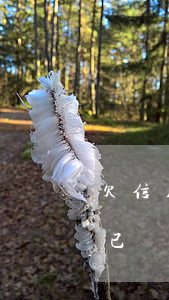 欠信用卡已凍結(jié)怎么辦(欠信用卡已凍結(jié)怎么辦)