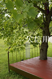 欠信用卡已報案(欠信用卡報案到逮捕要多久)