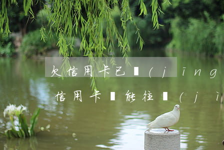 欠信用卡已經(jīng)列為呆賬(呆賬的信用卡還能往進(jìn)去還錢嗎)