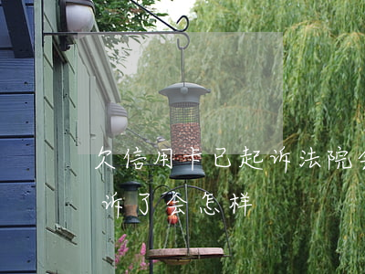 欠信用卡已起诉法院会怎么判(欠信用卡被起诉了会怎样)