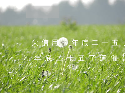 欠信用卡年底二十五了還催款嗎-欠信用卡年底二十五了還催款嗎怎么辦