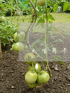 欠信用卡年費(fèi)兩年后 欠信用卡年費(fèi)銀行會(huì)怎么告知