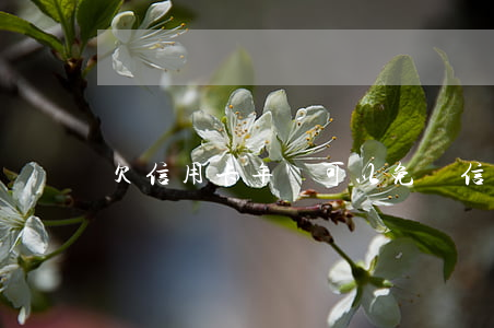 欠信用卡年費可以免嗎(信用卡 年費 逾期)