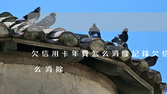 欠信用卡年費怎么消除記錄（欠信用卡年費怎么消除）