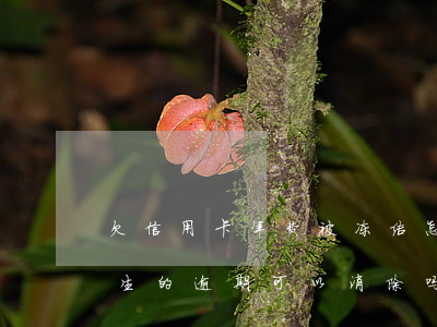 欠信用卡年费被冻结怎么办(因信用卡年费产生的逾期可以消除吗)