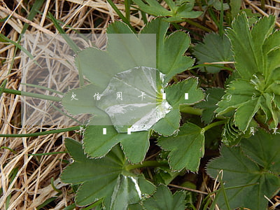 欠信用卡幾個(gè)月不還怎么辦(欠信用卡幾個(gè)月不還怎么辦)