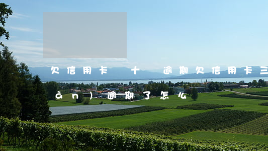 欠信用卡幾十塊逾期(欠信用卡三十幾萬(wàn)逾期了怎么辦)