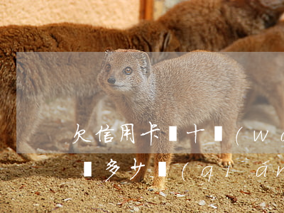 欠信用卡幾十萬(wàn)一個(gè)月還多少錢(qián)-