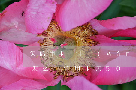 欠信用卡幾十萬(wàn)全部逾期還不了怎么辦（信用卡欠50萬(wàn)嚴(yán)重逾期了）