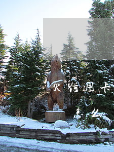 欠信用卡幾十萬(wàn)無(wú)力償還怎么辦,沒(méi)有資產(chǎn)-欠信用卡幾十萬(wàn)無(wú)力償還怎么辦,沒(méi)有資產(chǎn)證明