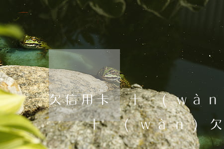 欠信用卡幾十萬(wàn)網(wǎng)貸幾十萬(wàn)(欠信用卡網(wǎng)貸30萬(wàn))