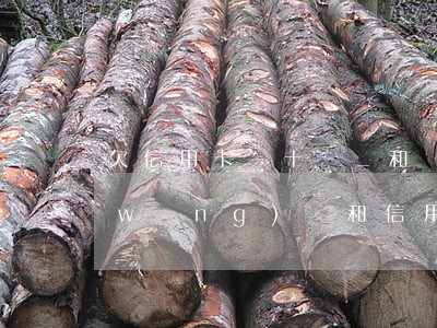 欠信用卡幾十萬_和網(wǎng)貸(網(wǎng)貸和信用卡欠了十幾萬,應該怎么辦?)