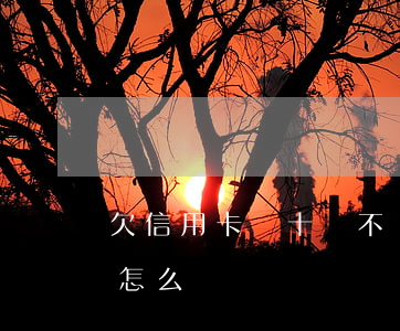 欠信用卡幾十萬不還會怎樣(欠信用卡幾十萬怎么辦)