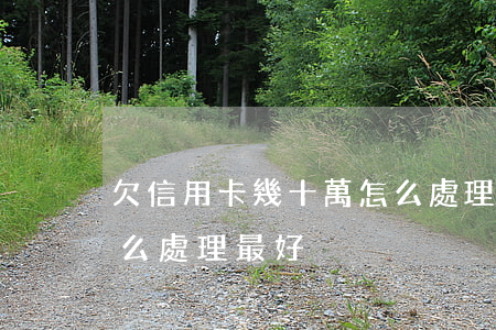 欠信用卡幾十萬怎么處理(欠信用卡幾十萬怎么處理最好)