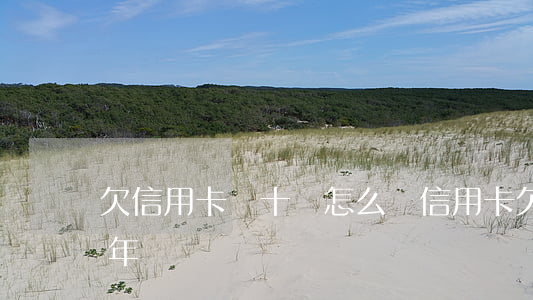 欠信用卡幾十萬怎么辦（信用卡欠幾十萬判幾年）
