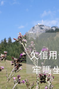 欠信用卡幾十萬有多少(欠信用卡十幾萬會坐牢嗎?坐牢還要還嗎)