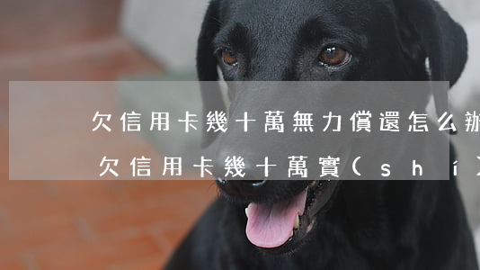 欠信用卡幾十萬無力償還怎么辦百度貼吧-欠信用卡幾十萬實(shí)在是還不上,怎么辦