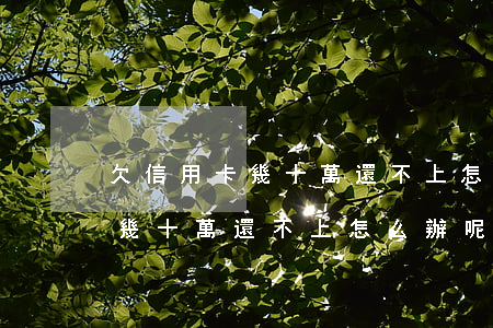 欠信用卡幾十萬還不上怎么辦呢-欠信用卡幾十萬還不上怎么辦呢