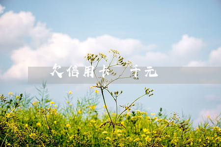 欠信用卡幾千元