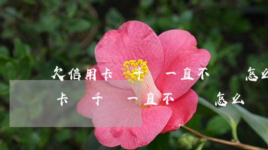 欠信用卡幾千塊一直不還會怎么樣-欠信用卡幾千塊一直不還會怎么樣嗎