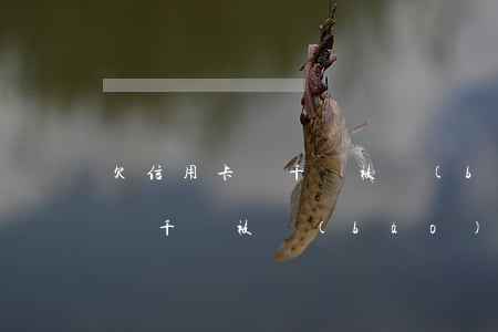 欠信用卡幾千塊被報(bào)案(欠信用卡幾千塊被報(bào)案)