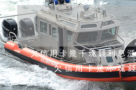 欠信用卡幾千塊錢利息漲到兩萬(wàn)多-欠信用卡幾千塊錢利息漲到兩萬(wàn)多怎么辦