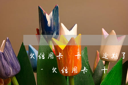 欠信用卡幾千塊錢逾期了會(huì)怎么樣-欠信用卡幾千塊錢逾期了會(huì)怎么樣嗎