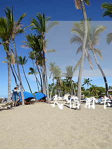 欠信用卡幾千塊錢逾期了會(huì)怎么樣