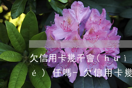欠信用卡幾千會(huì)被定刑事責(zé)任嗎-欠信用卡幾千會(huì)被定刑事責(zé)任嗎知乎