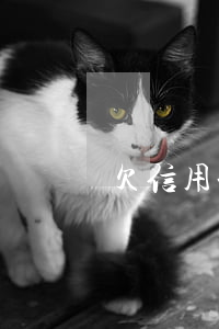 欠信用卡幾千被拘留(欠信用卡多錢夠拘留)