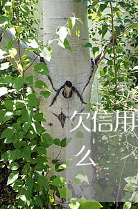 欠信用卡幾千逾期了(欠信用卡幾千逾期了怎么辦)